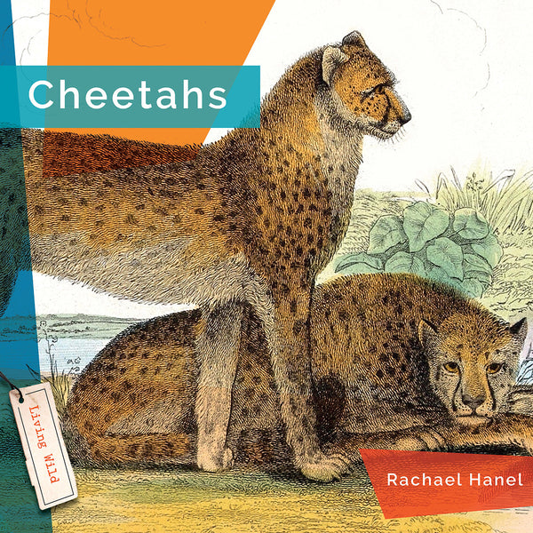 Living Wild (2024): Cheetahs by The Creative Company Shop