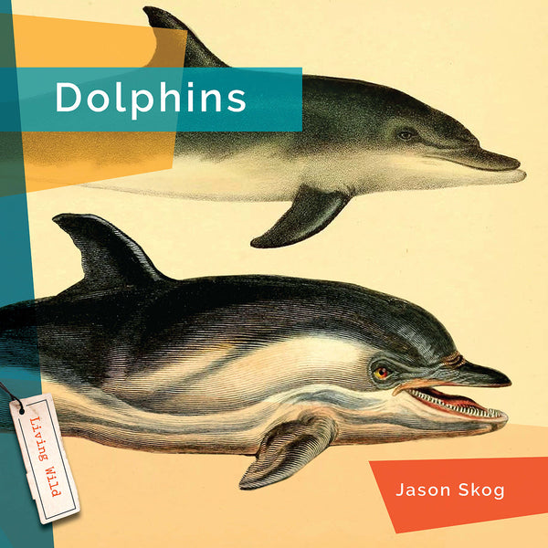 Living Wild (2024): Dolphins by The Creative Company Shop