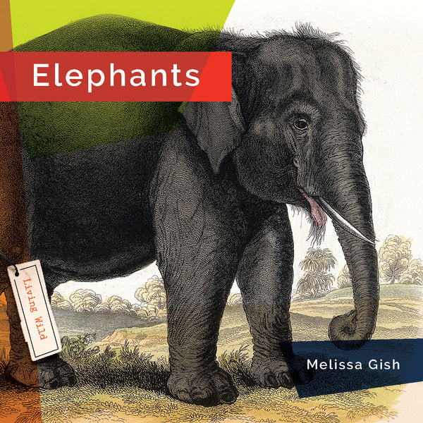 Living Wild (2024): Elephants by The Creative Company Shop