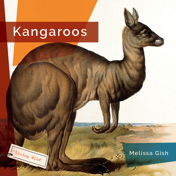 Living Wild (2024): Kangaroos by The Creative Company Shop
