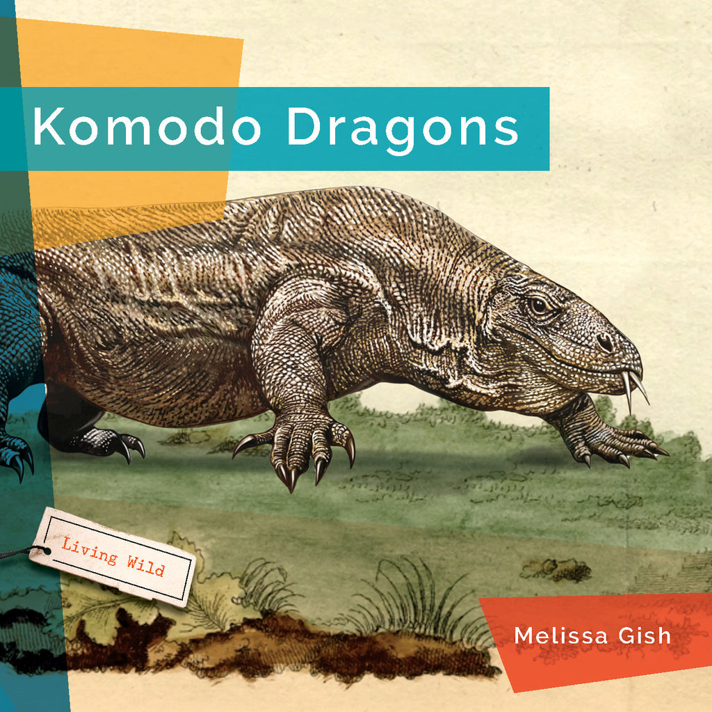 Living Wild (2024): Komodo Dragons by The Creative Company Shop