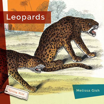 Living Wild (2024): Leopards by The Creative Company Shop