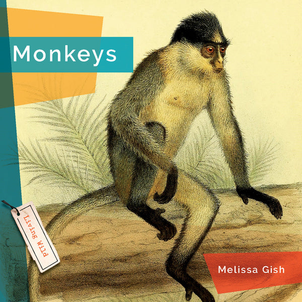 Living Wild (2024): Monkeys by The Creative Company Shop