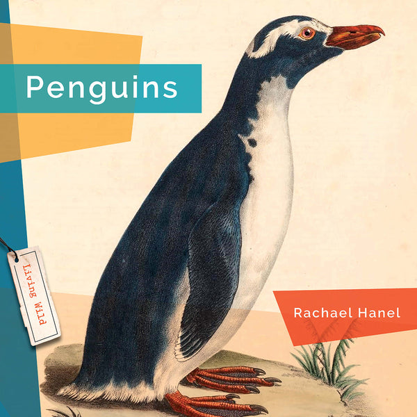 Living Wild (2024): Penguins by The Creative Company Shop