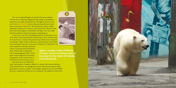 Living Wild (2024): Polar Bears by The Creative Company Shop
