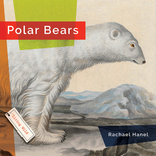 Living Wild (2024): Polar Bears by The Creative Company Shop