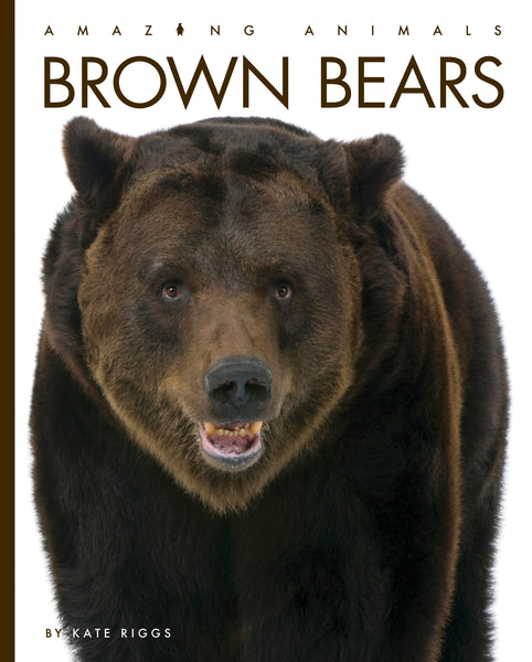 Amazing Animals (2022): Brown Bears by The Creative Company Shop