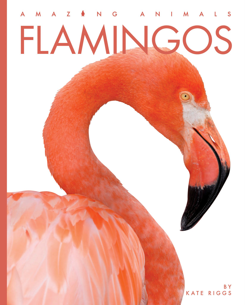 Amazing Animals (2022): Flamingos by The Creative Company Shop