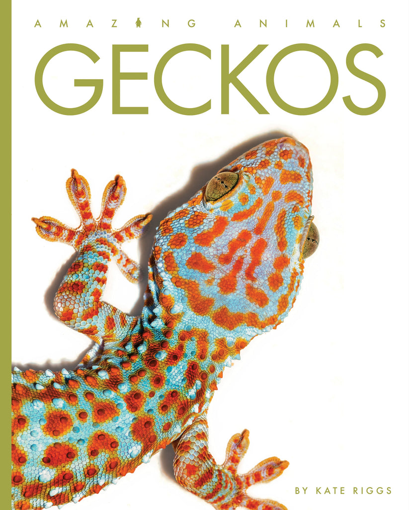 Amazing Animals (2022): Geckos by The Creative Company Shop