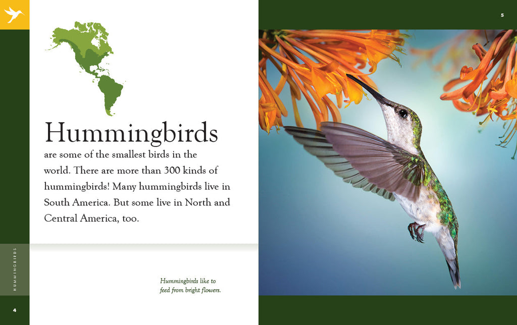 Amazing Animals (2022): Hummingbirds by The Creative Company Shop