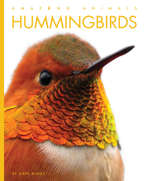 Amazing Animals (2022): Hummingbirds by The Creative Company Shop