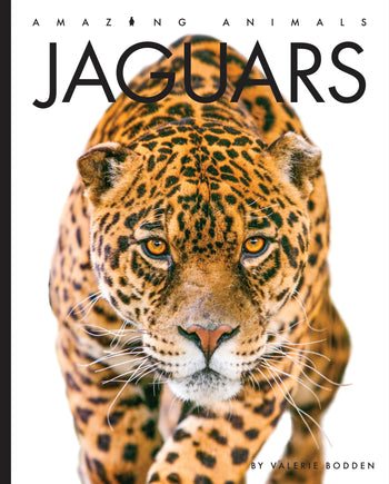 Amazing Animals (2022): Jaguars by The Creative Company Shop