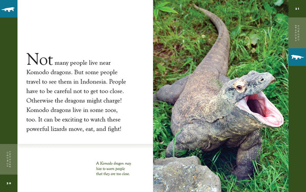 Amazing Animals (2022): Komodo Dragons by The Creative Company Shop
