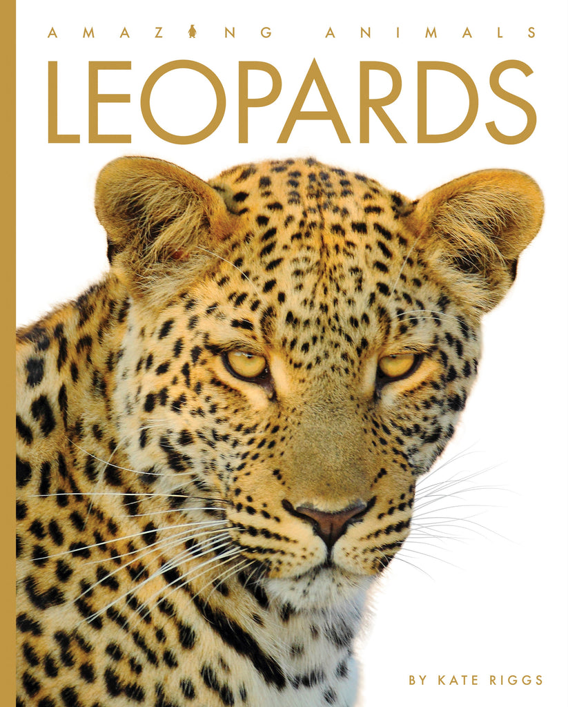 Amazing Animals (2022): Leopards by The Creative Company Shop