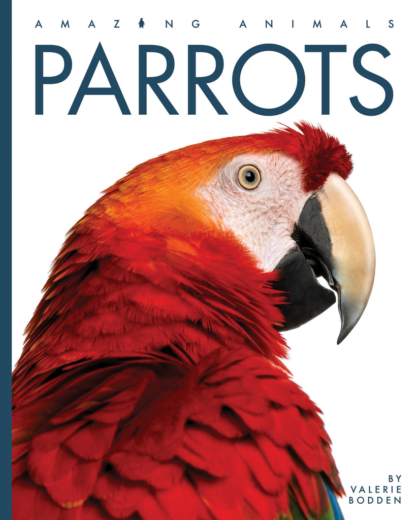 Amazing Animals (2022): Parrots by The Creative Company Shop