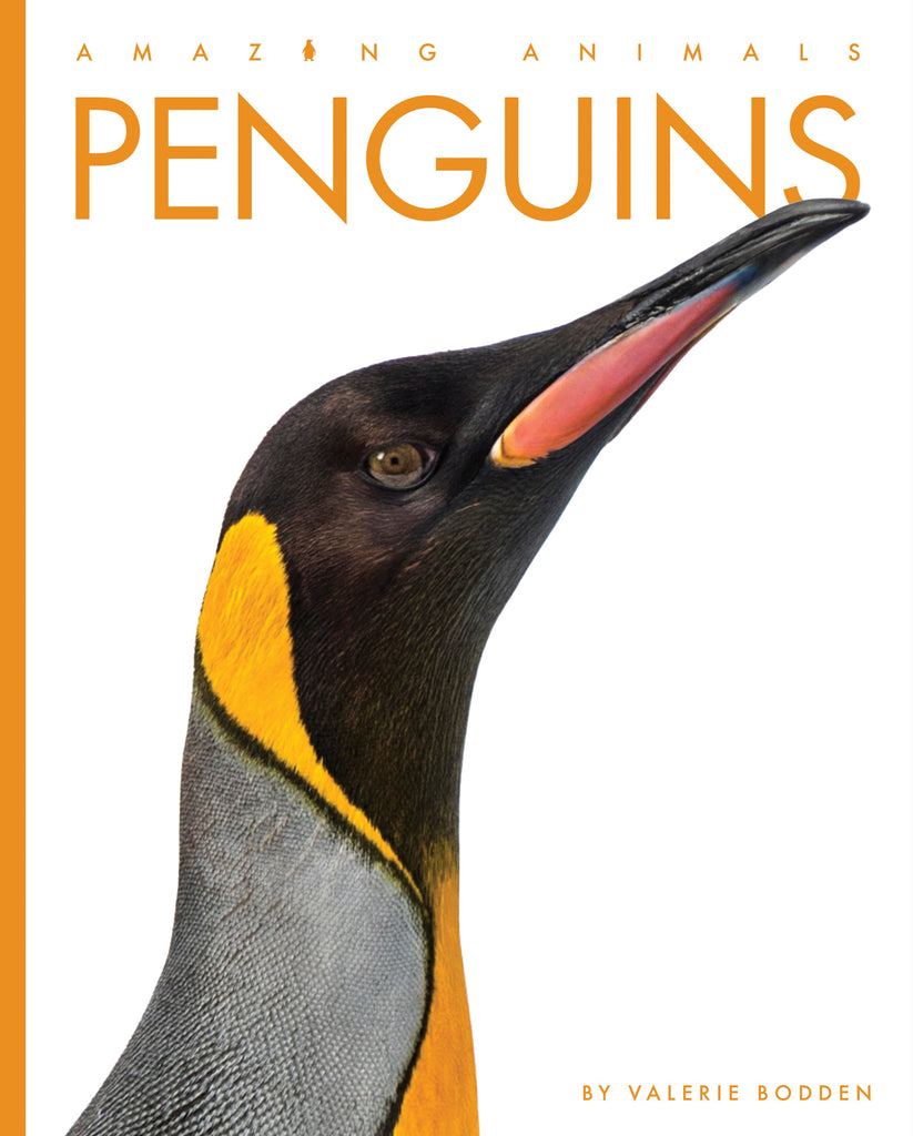 Amazing Animals (2022): Penguins by The Creative Company Shop