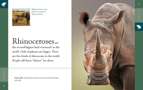 Amazing Animals (2022): Rhinoceroses by The Creative Company Shop