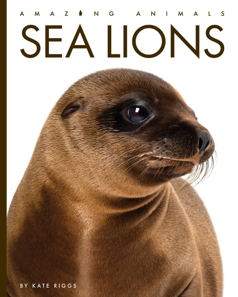 Amazing Animals (2022): Sea Lions by The Creative Company Shop