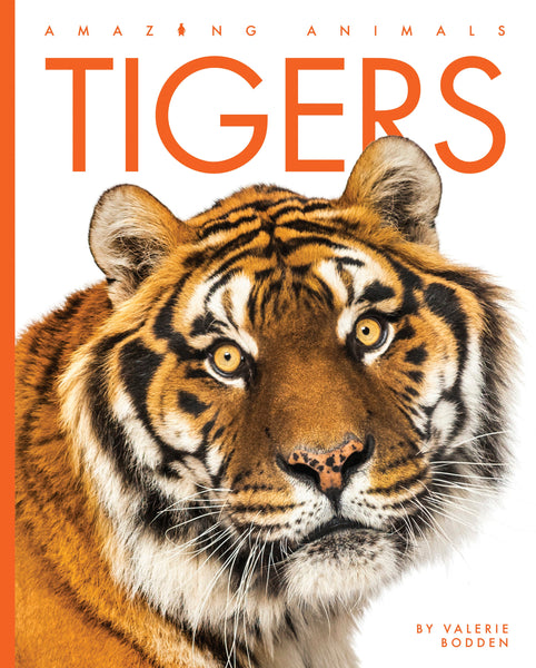 Amazing Animals (2022): Tigers by The Creative Company Shop