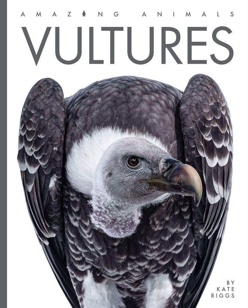 Amazing Animals (2022): Vultures by The Creative Company Shop