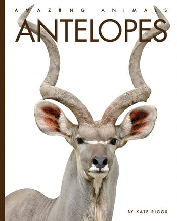 Amazing Animals (2022): Antelopes by The Creative Company Shop