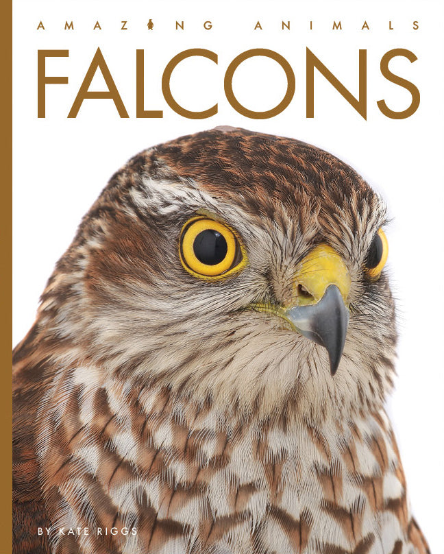 Amazing Animals (2022): Falcons by The Creative Company Shop