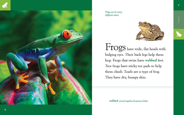 Amazing Animals (2022): Frogs by The Creative Company Shop