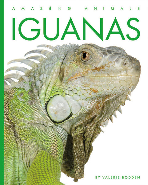 Amazing Animals (2022): Iguanas by The Creative Company Shop