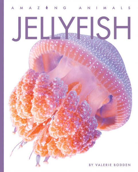 Amazing Animals (2022): Jellyfish by The Creative Company Shop