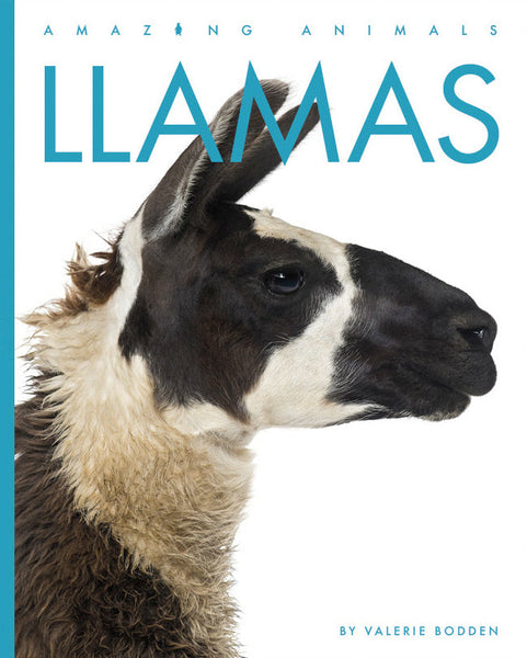 Amazing Animals (2022): Llamas by The Creative Company Shop