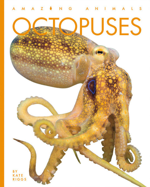 Amazing Animals (2022): Octopuses by The Creative Company Shop