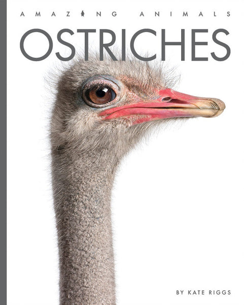 Amazing Animals (2022): Ostriches by The Creative Company Shop