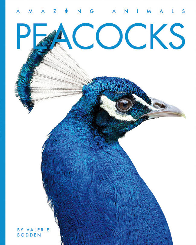 Amazing Animals (2022): Peacocks by The Creative Company Shop