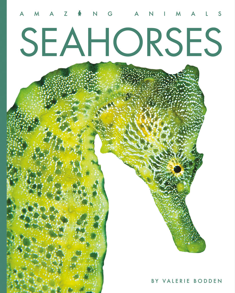 Amazing Animals (2022): Seahorses by The Creative Company Shop