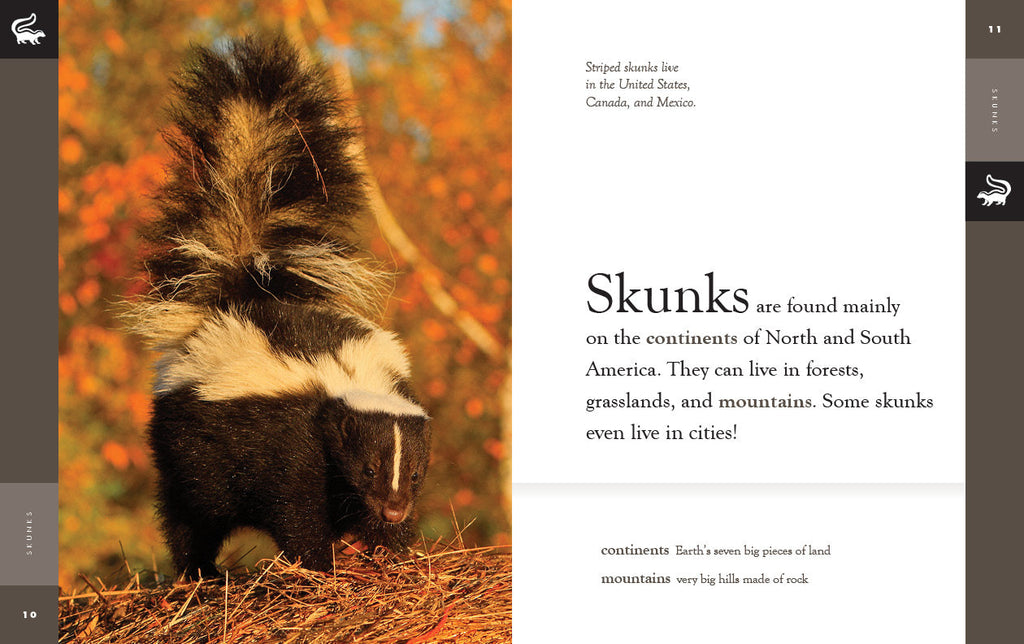 Amazing Animals (2022): Skunks by The Creative Company Shop