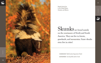 Amazing Animals (2022): Skunks by The Creative Company Shop