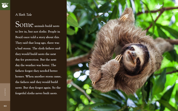 Amazing Animals (2022): Sloths by The Creative Company Shop