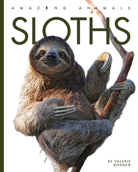 Amazing Animals (2022): Sloths by The Creative Company Shop