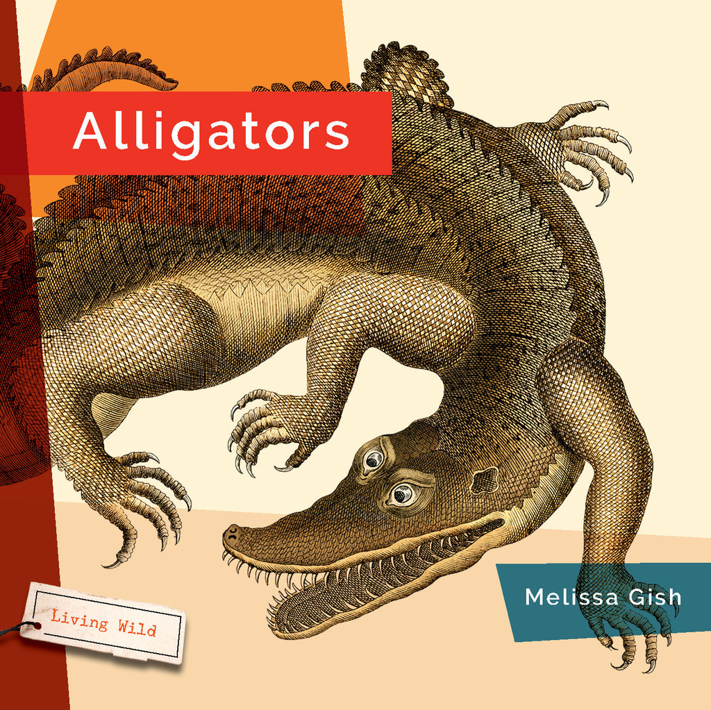 Living Wild (2024): Alligators by The Creative Company Shop