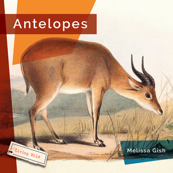 Living Wild (2024): Antelopes by The Creative Company Shop