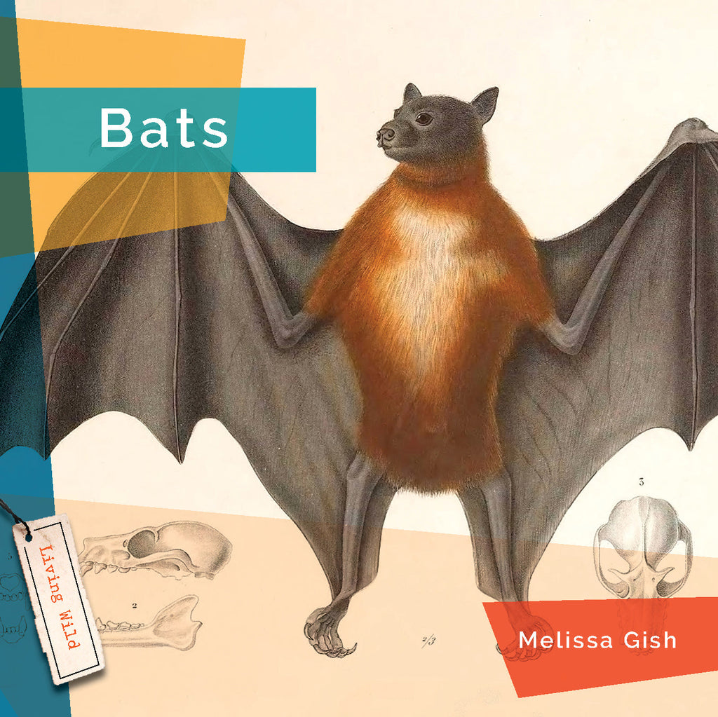 Living Wild (2024): Bats by The Creative Company Shop