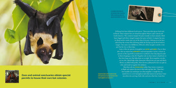 Living Wild (2024): Bats by The Creative Company Shop