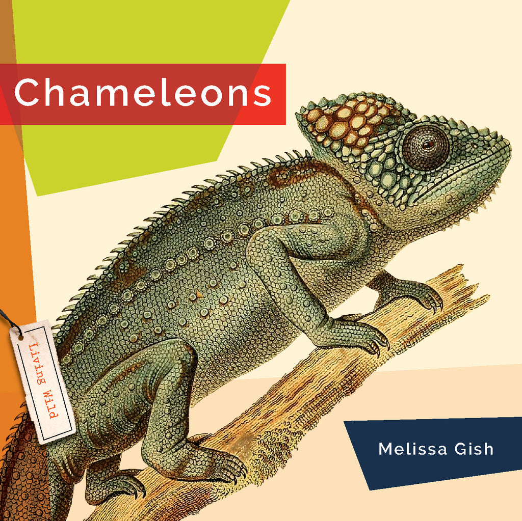 Living Wild (2024): Chameleons by The Creative Company Shop