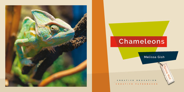 Living Wild (2024): Chameleons by The Creative Company Shop