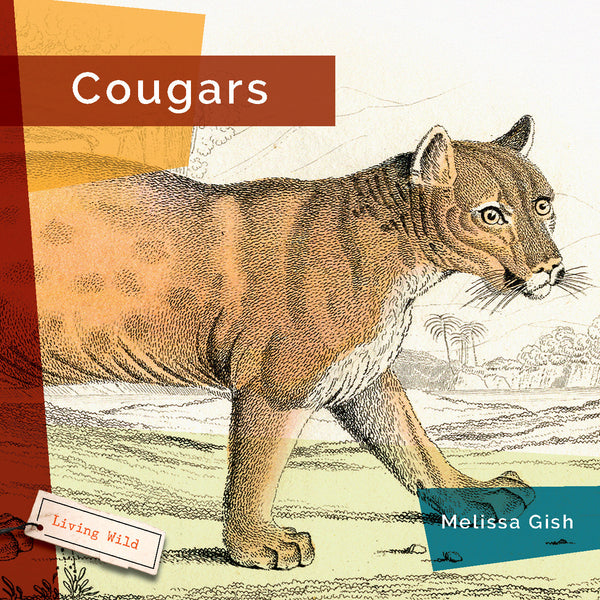 Living Wild (2024): Cougars by The Creative Company Shop