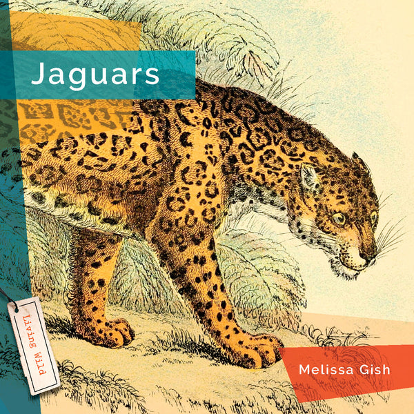 Living Wild (2024): Jaguars by The Creative Company Shop