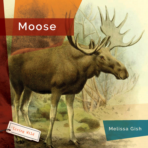 Living Wild (2024): Moose by The Creative Company Shop