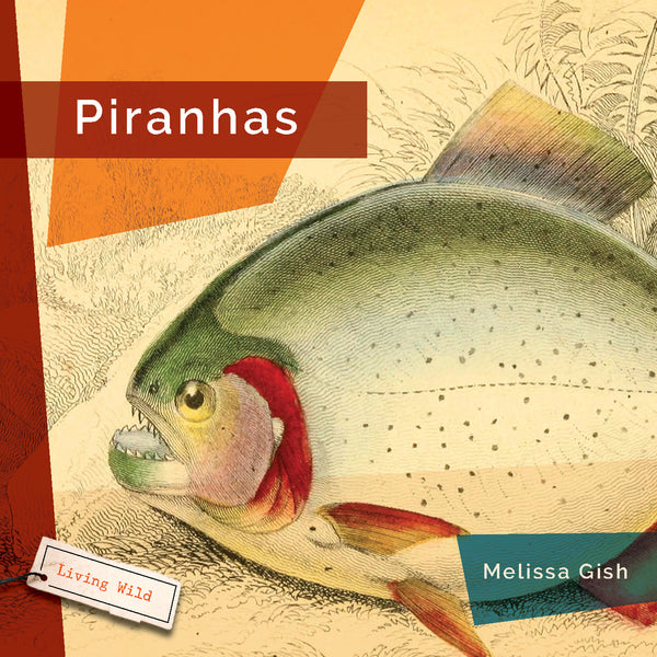 Living Wild (2024): Piranhas by The Creative Company Shop