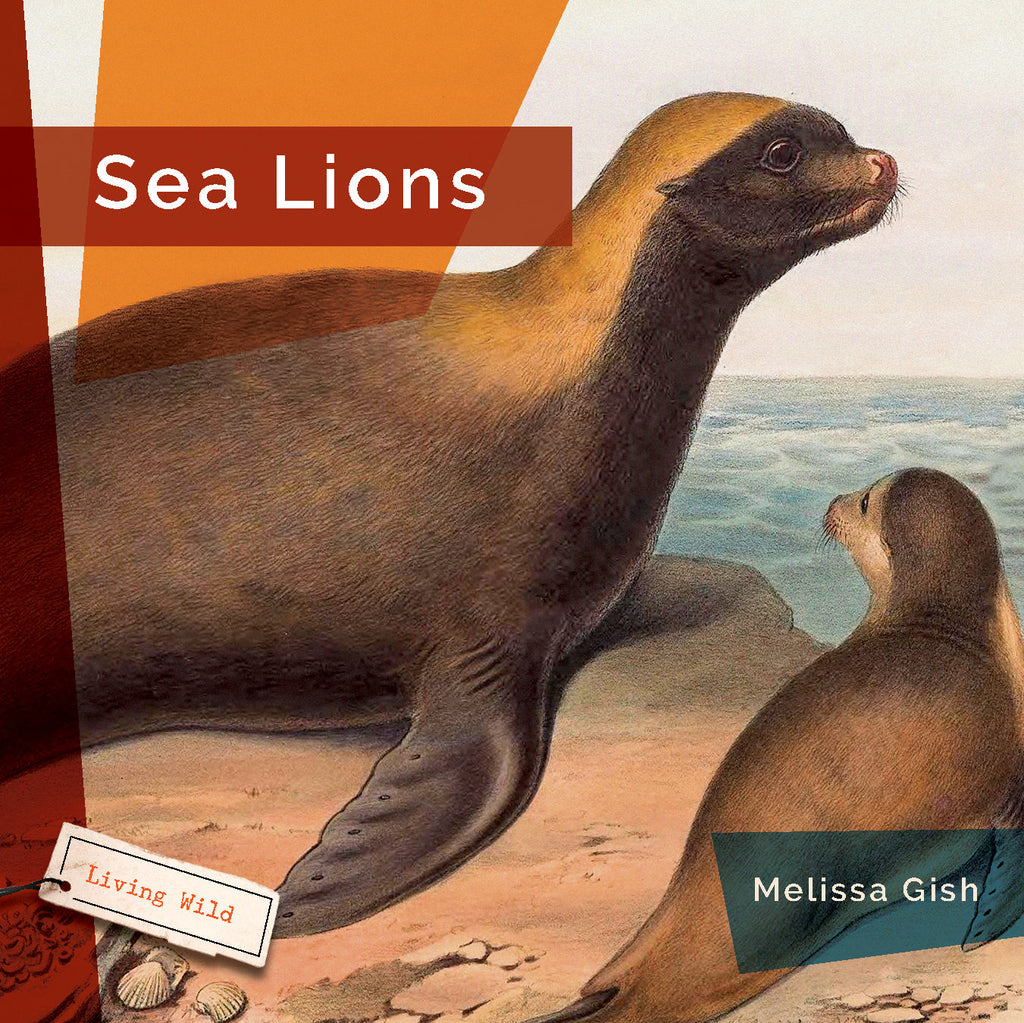 Living Wild (2024): Sea Lions by The Creative Company Shop