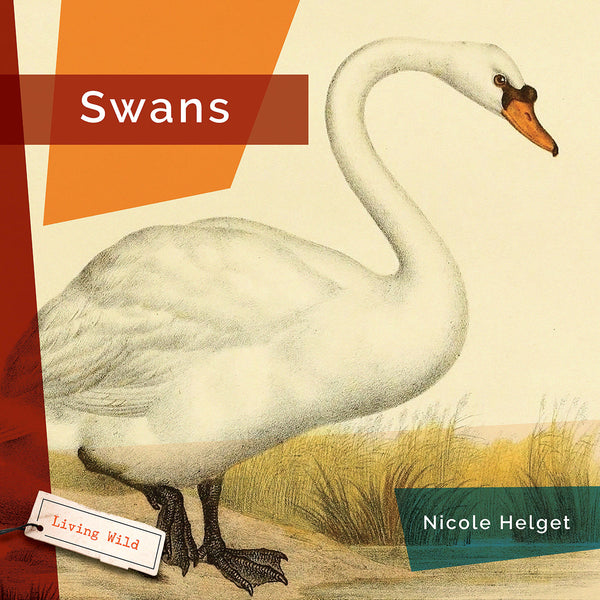 Living Wild (2024): Swans by The Creative Company Shop